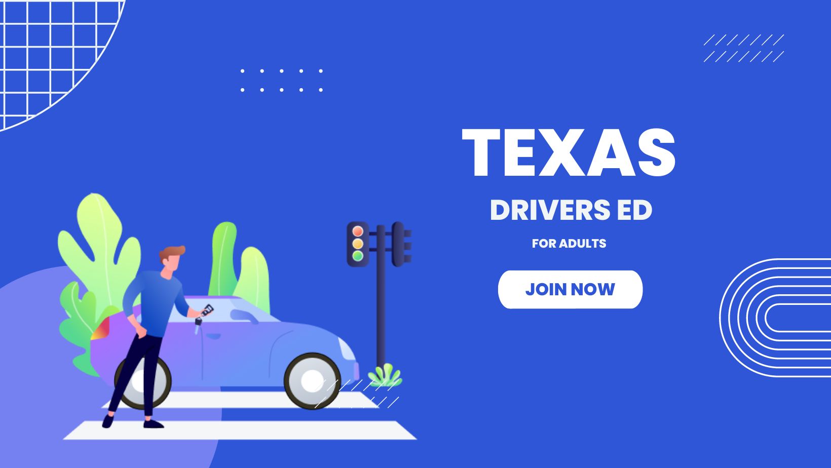 texas adult drivers